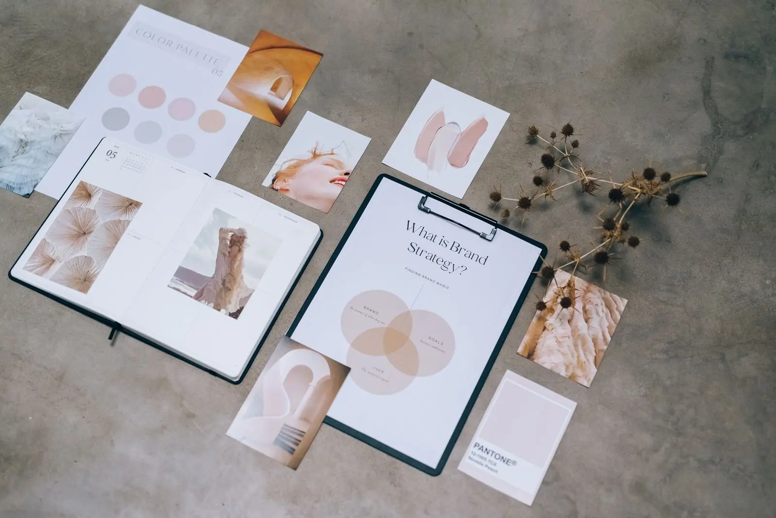 Moodboard de estrategia de marca con muestras de color